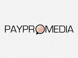 paypromedia-foundationpress-wordpress-template-bb296-o.jpg