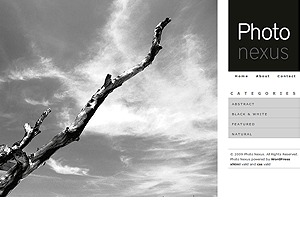 photo-nexus-child-wordpress-template-for-photographers-qmbgn-o.jpg
