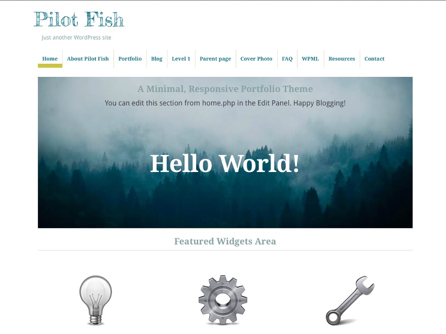 pilot-fish-personal-blog-wordpress-theme-pgk-o.jpg