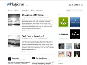 platform-template-wordpress-ce1-o.jpg