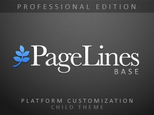 platformbase-wordpress-theme-3p-o.jpg