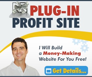 plug-in-profit-site-wordpress-theme-j3y2-o.jpg