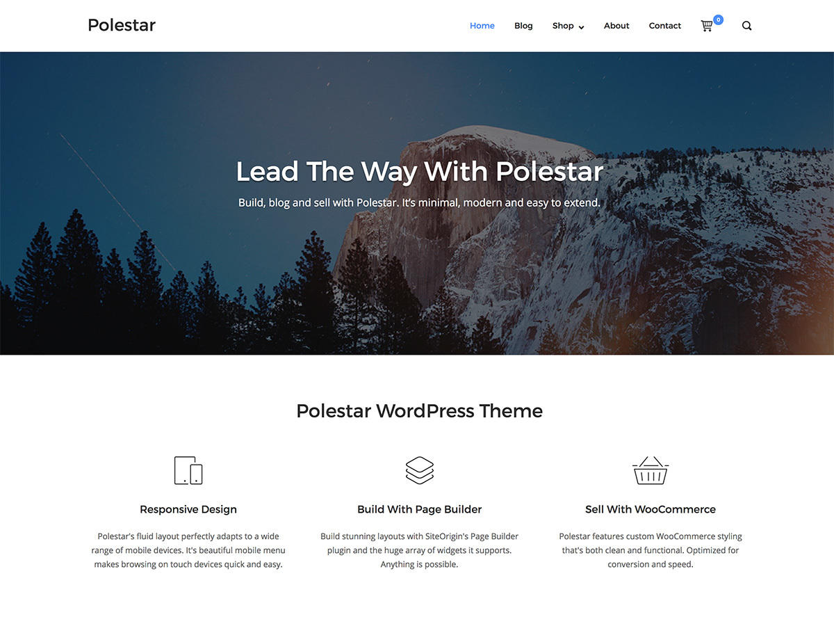 polestar-wordpress-store-theme-cdbj-o.jpg