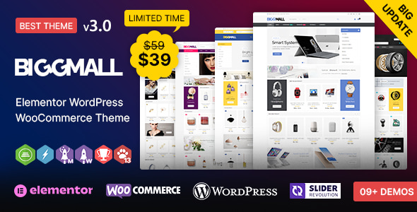 BiggMall WP - Multi-purpose WooCommerce Responsive Theme