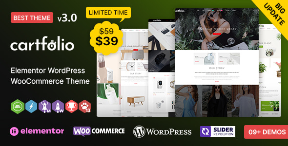 Cartfolio WP - MultiPurpose WordPress WooCommerce Theme