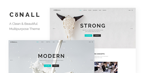 Conall - Clean Multipurpose Theme