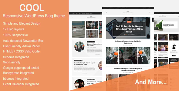 Cool - Responsive WordPress Blog theme