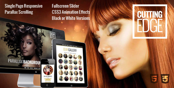 Cutting Edge Responsive Parallax WordPress Theme