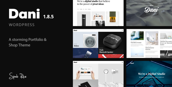 Dani - A Storming Portfolio & Shop WordPress Theme