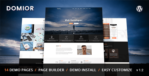 Domior - Creative Personal Portfolio WordPress Theme