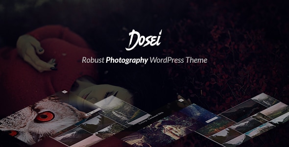 Dosei - Robust WP Theme for Photographers and Galleries