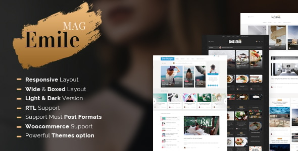 Emile - Responsive WordPress Blog Theme With Shop