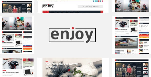 Enjoy - WordPress Magazine and Blog Theme