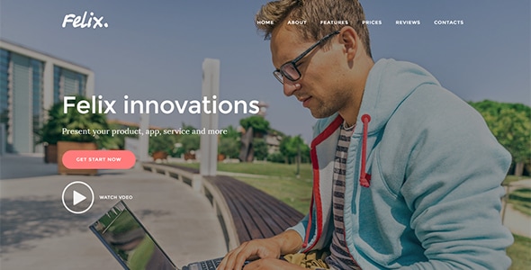 Felix. - Startup Landing Page WordPress Theme