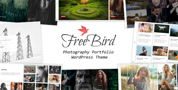 FreeBird - Photography Portfolio WordPress Theme