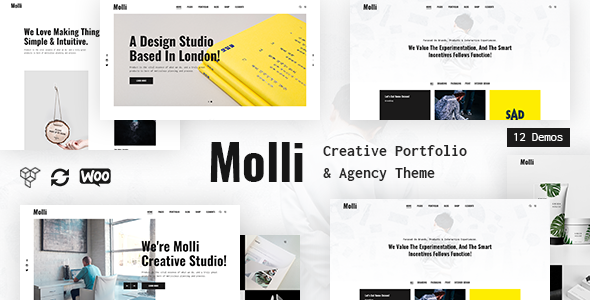 Molli - Creative Portfolio & Agency Theme