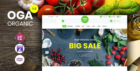 OGA - Elementor WooCommerce Theme