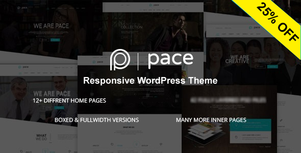 Pace - Responsive MultiPurpose Theme