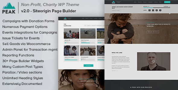 Peak - Charity Nonprofit WordPress Theme