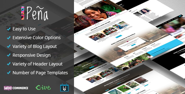 Pena - Charity/Non-Profit WordPress Theme