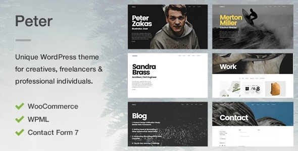 Peter - A Unique Portfolio Theme for Creatives, Freelancers & Professional Individuals