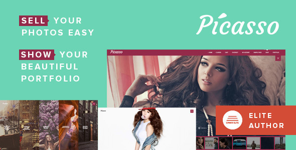 Picasso - Photography, Portfolio WordPress Theme