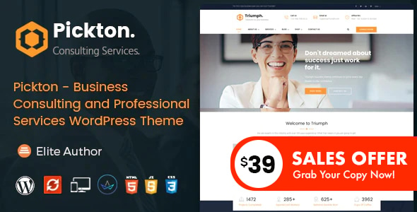 Pickton - Consulting WordPress Theme