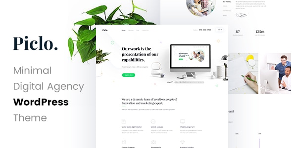 Piclo - Digital Agency WordPress Theme