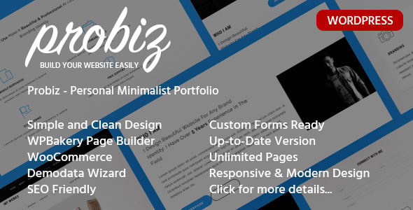 Probiz - Portfolio WordPress Theme