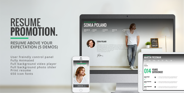 Promotion - Animated CV WordPress Resume Theme