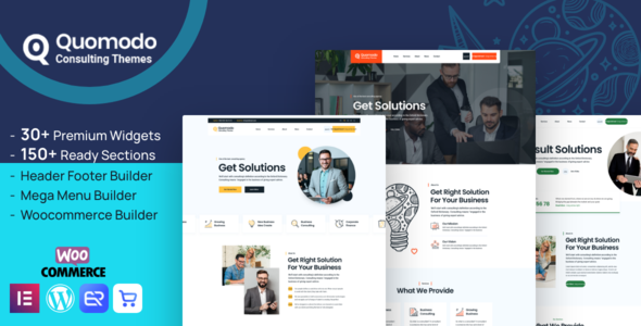 Quomodo - Business Consulting WordPress Theme