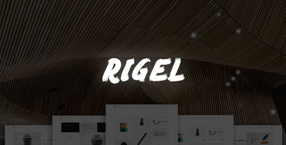 Rigel - Ultimate Agency & Portfolio Theme