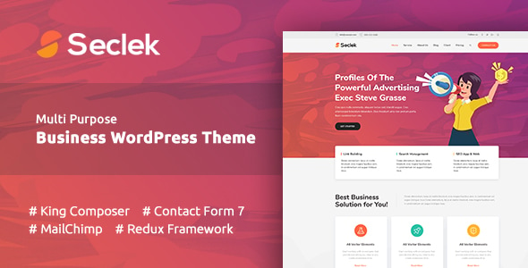 Seclek - Multipurpose WordPress Theme