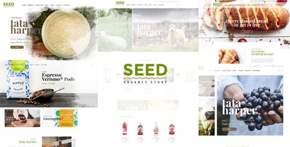 Seed - Organic WordPress Theme