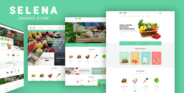 Selena - Organic Food Store Theme for WooCommerce WordPress