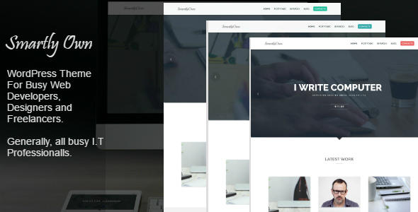 Smartly Own - WordPress Theme For I.T Professionals