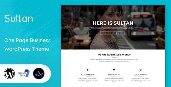 Sultan - One Page Business WordPress Theme