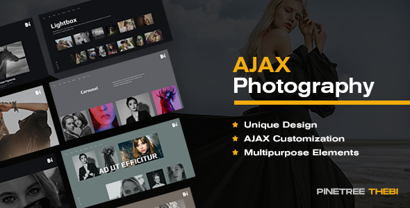 TheBi - Photography WordPress Theme