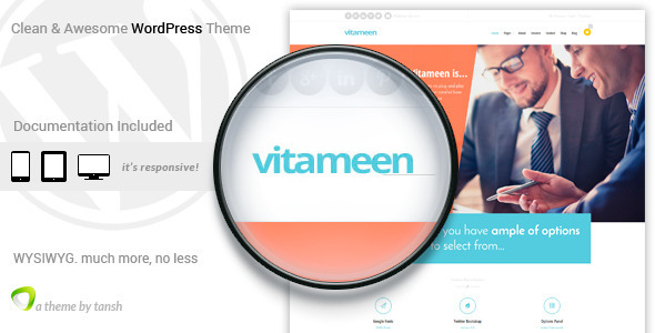 Vitameen Business Responsive WordPress Theme