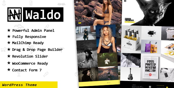 Waldo - Creative Portfolio  WordPress Theme