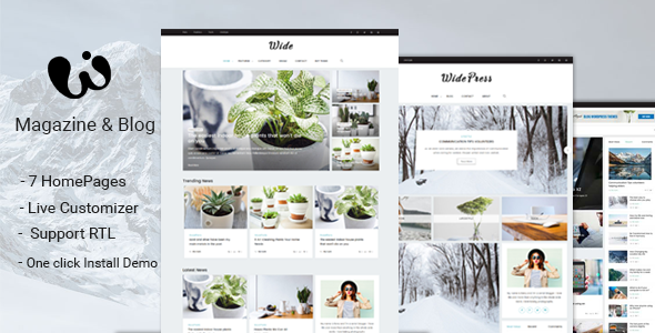 Wide - Magazine & Blog WordPress Themes