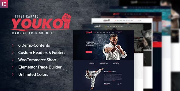 Youko - Martial Arts WordPress Theme