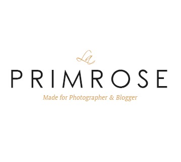 primrose-wordpress-blog-theme-cj67-o.jpg