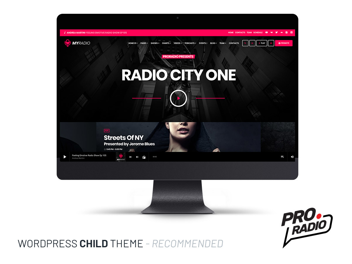 proradio-child-premium-wordpress-theme-ptjss-o.jpg