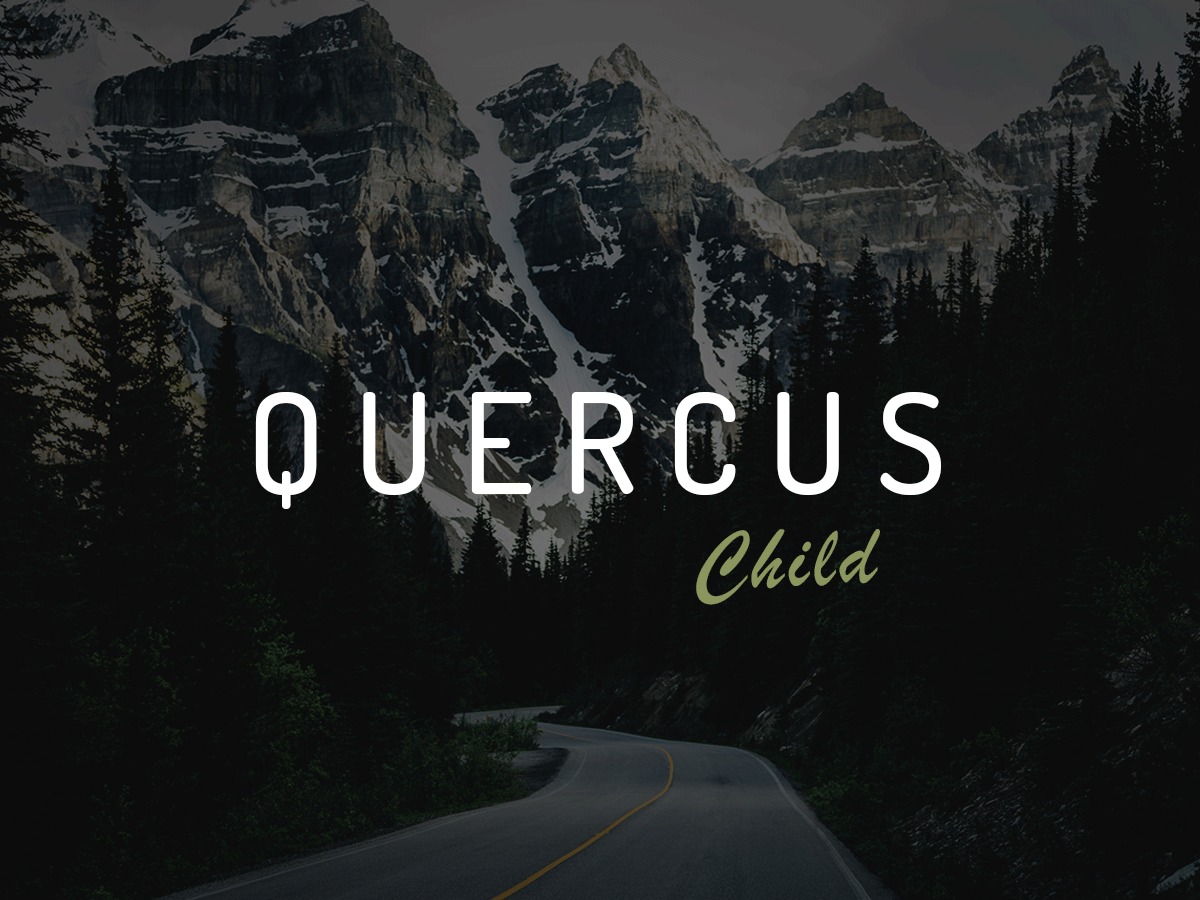 quercus-child-best-wordpress-theme-b7jpm-o.jpg