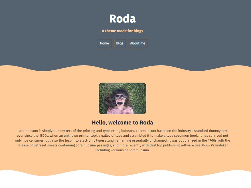 roda-wordpress-theme-free-download-bpps-o.jpg