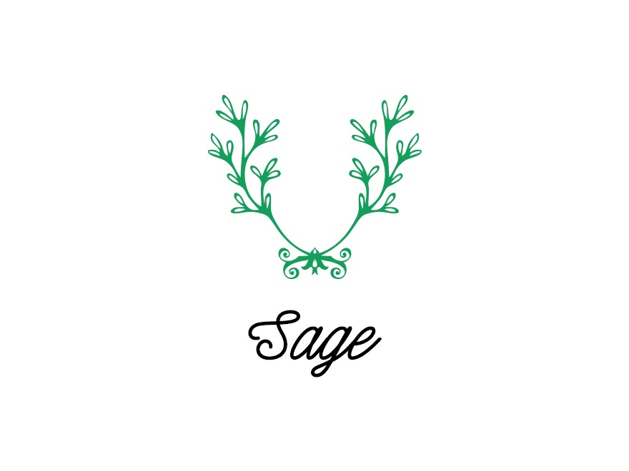 sage-company-wordpress-theme-poj-o.jpg