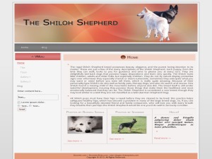 shiloh-wordpress-theme-y2f1-o.jpg