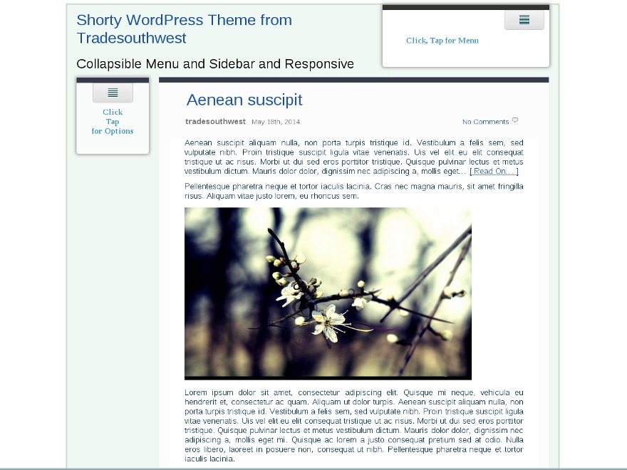 shorty-wordpress-blog-template-82w2-o.jpg
