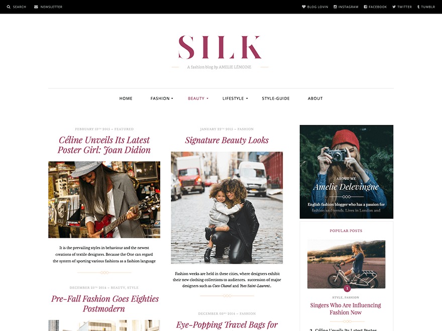 silk-lite-template-wordpress-free-g16-o.jpg